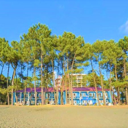 Evrika Hotel Shekvetili Екстериор снимка