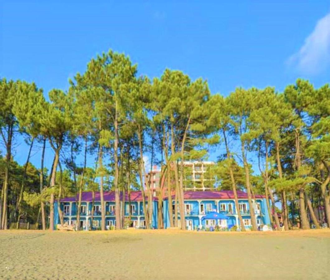 Evrika Hotel Shekvetili Екстериор снимка