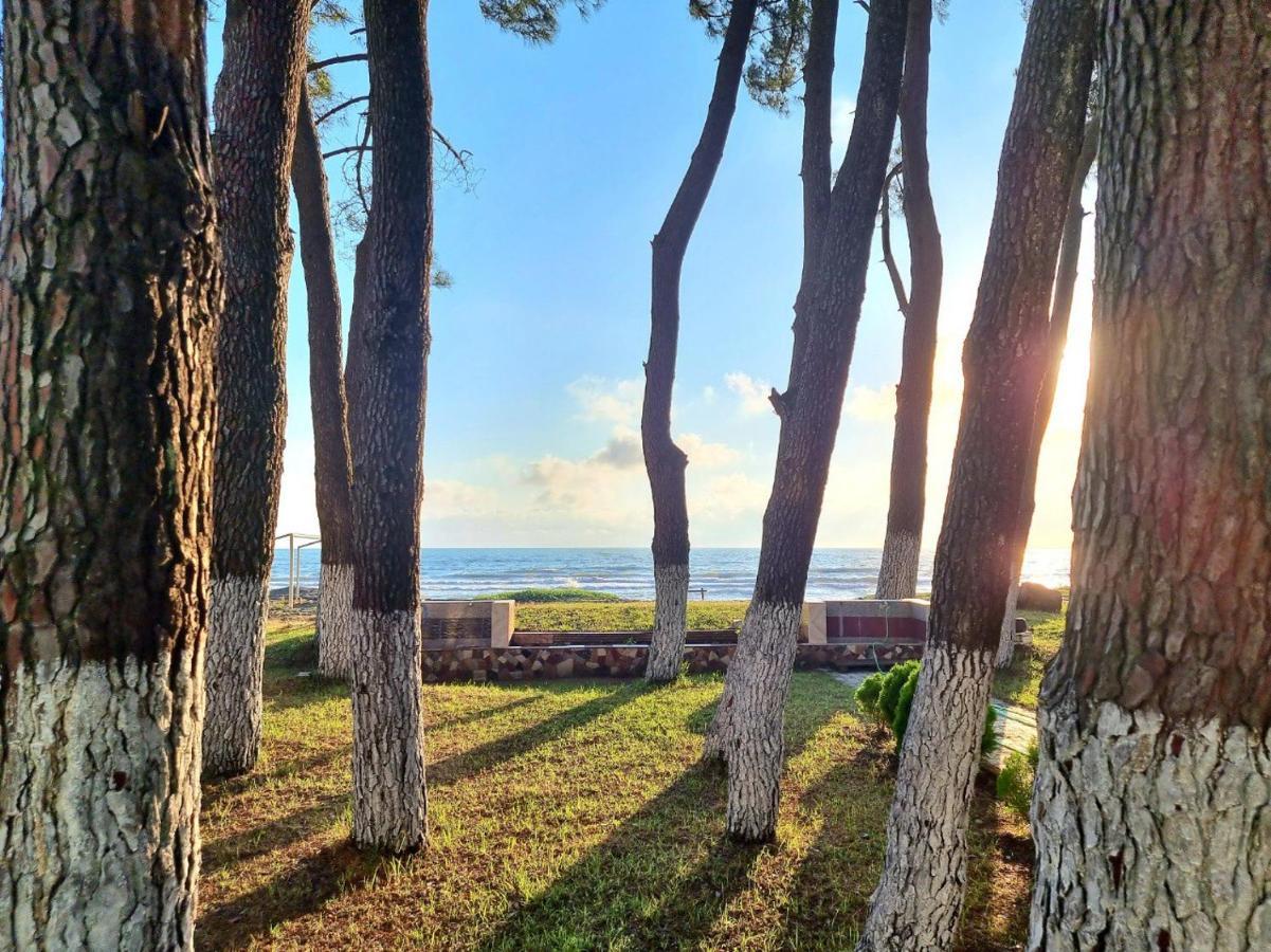 Evrika Hotel Shekvetili Екстериор снимка